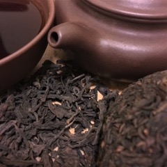 cooked puerh tea